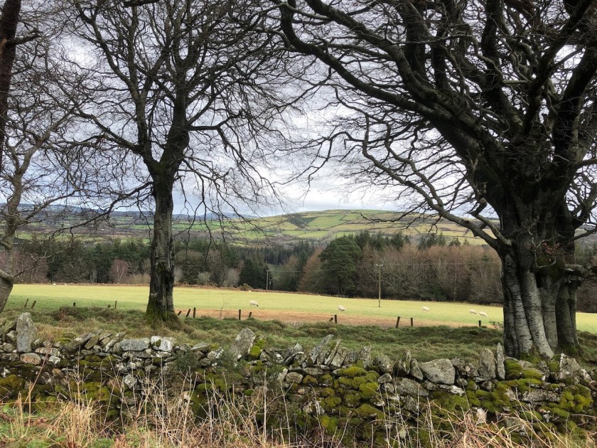 View of a valley, across a field, framed by gnarled trees on either side and an old stone wall at the bottom.