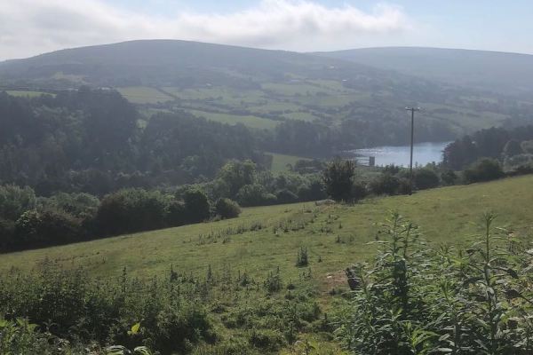 Pasture leading down to the Upper Lake of Bohernabreena Reservoir, mountains in the background