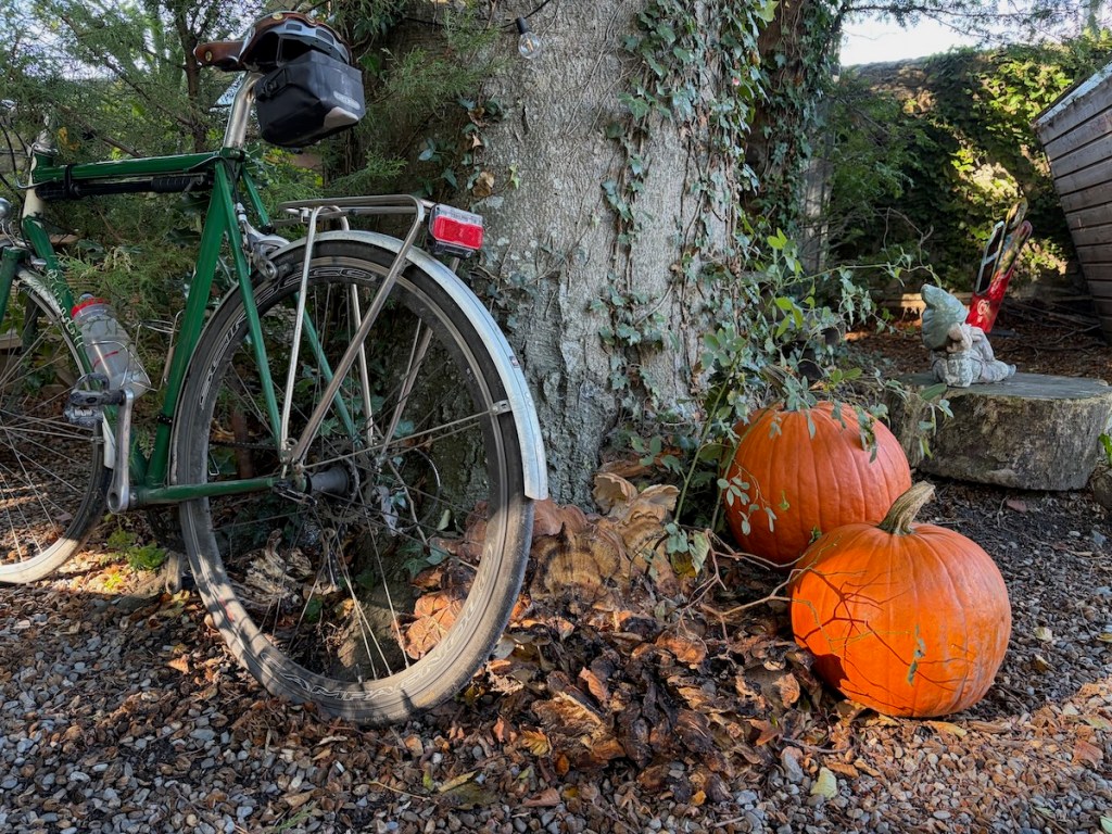 Bike leaning against a tree with fungus and Hallowe'en pumpkins at the bole